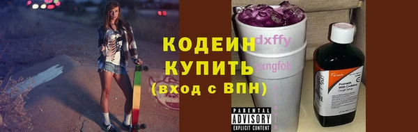 индика Киренск