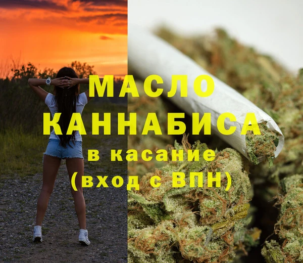 индика Киренск