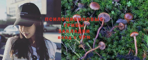индика Киренск