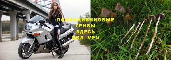 индика Киренск