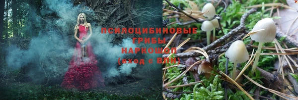 индика Киренск