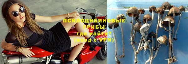 дживик Кинешма