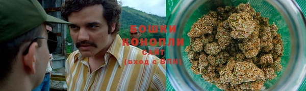 дживик Кинешма